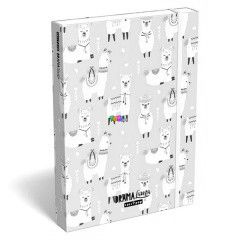 Lollipop lma mints fzetbox - A4