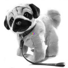 Mopsz kutya