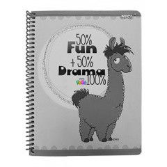 Nici - Fun and Drama ngyzetrcsos spirl fzet, A5