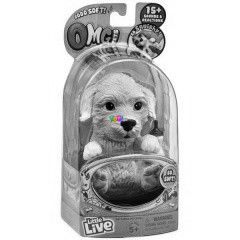 OMG Pets - OMG Poodles/ Golden retriever kiskutya