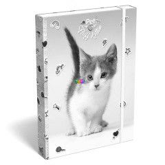 Pet cica mints fzetbox - A4