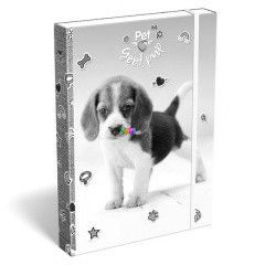 Pet kiskutya mints fzetbox - A4