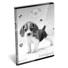 Pet kiskutya mints leckefzet - A5