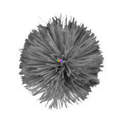 Phlat Disc labda