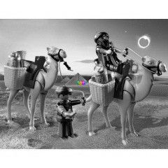 Playmobil 4247 - Srrablk karavnja