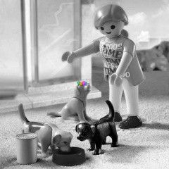 Playmobil 4687 - Kutyusok s gazdijuk