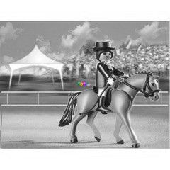 Playmobil 5111 - Nmet lovagl-pni karmmal