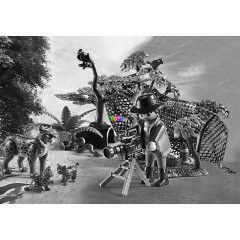 Playmobil 5561 - Hizcsald s a termszetfots