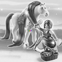Playmobil 6167 - Ametiszt s Orgonatenger