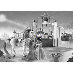 Playmobil 6855 - Kirlyi paripa
