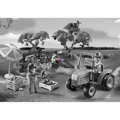 Playmobil 6870 - Gymlcsszret, StarterSet