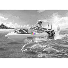 Playmobil 6981 - Delfinekkel bvrkodom