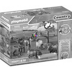 Playmobil 71307 - Tanyasi llatkk