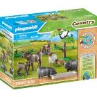 Playmobil 71307 - Tanyasi llatkk