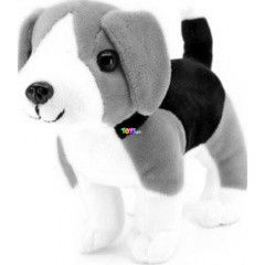 Plss beagle kutya, 15 cm