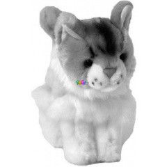 Plss cica maine coon, 15 cm