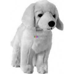 Plss golden retriever kutya, 15 cm