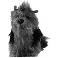 Plss yorkie kutya, 15 cm