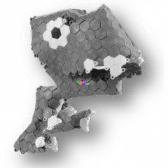 Puzzibits skori ragadozk (450 db-os)