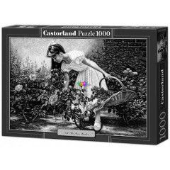 Puzzle - A rzsakertben, 1000 db