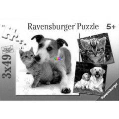 Puzzle - llatbartsg, 3x49 db