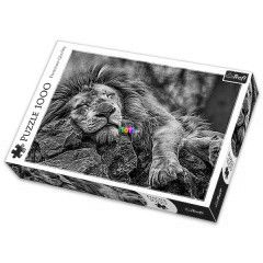 Puzzle - Alv oroszln, 1000 db