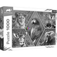 Puzzle - Animal Planet - Egzotikus llatok, 1000 db