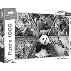 Puzzle - Animal Planet - Vadon l llatok, 1000 db