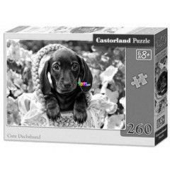 Puzzle - Aranyos tacsk, 260 db