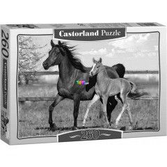 Puzzle - Barna l s csik, 260 db