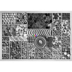 Puzzle - Cukorkk s nyalnksgok, 1000 db