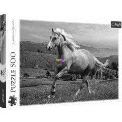 Puzzle - Dlutni vgta, 500 db