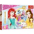 Puzzle - Disney hercegnk csillmos, 100 db
