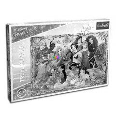 Puzzle - Disney hercegnk tallkozja, 260 db