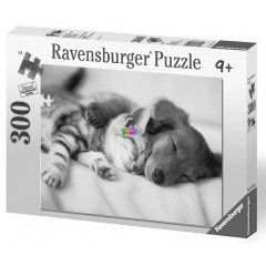 Puzzle - des lom 300 db