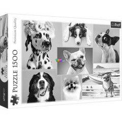 Puzzle - des kiskutyk kollzs, 1500 db