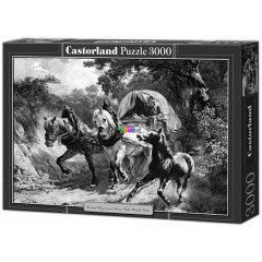 Puzzle - Ekhs szekr az svnyen, 3000 db