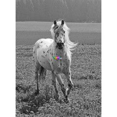 Puzzle - Fehr l, 300 db