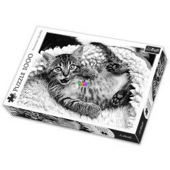 Puzzle - Fekv kiscica, 1000 db