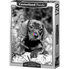 Puzzle - Gazdjt figyel klykkutya, 120 db