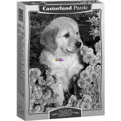 Puzzle - Golden retriever klyk virgok kzt, 260 db