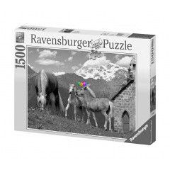 Puzzle - Haflinger lovak 1500 db