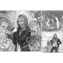Puzzle - Hannah Montana 3x49 db