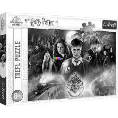 Puzzle - Harry Potter titka, 300 db