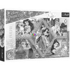 Puzzle - Hercegnők kalandjai, 160 db