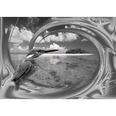 Puzzle - Jgmadr, 1000 db