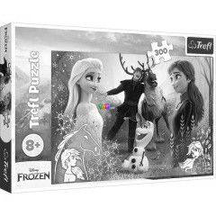 Puzzle - Jgvarzs 2 - Varzslatos idk, 300 db