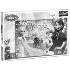 Puzzle - Jgvarzs, 260 db