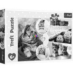Puzzle - Kedves cick, 160 db