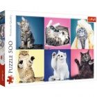 Puzzle - Kiscick, 500 db
